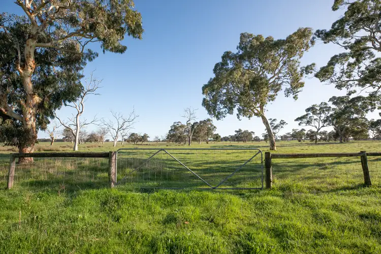 Fourth view of Homely rural property listing, 1318 Charcutt Rd, Coles SA 5272