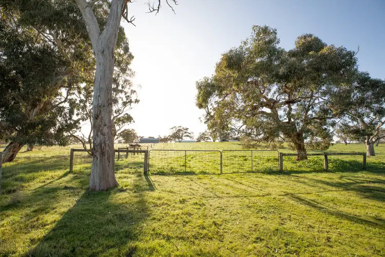 Fifth view of Homely rural property listing, 1318 Charcutt Rd, Coles SA 5272