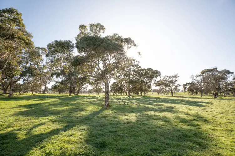 Seventh view of Homely rural property listing, 1318 Charcutt Rd, Coles SA 5272