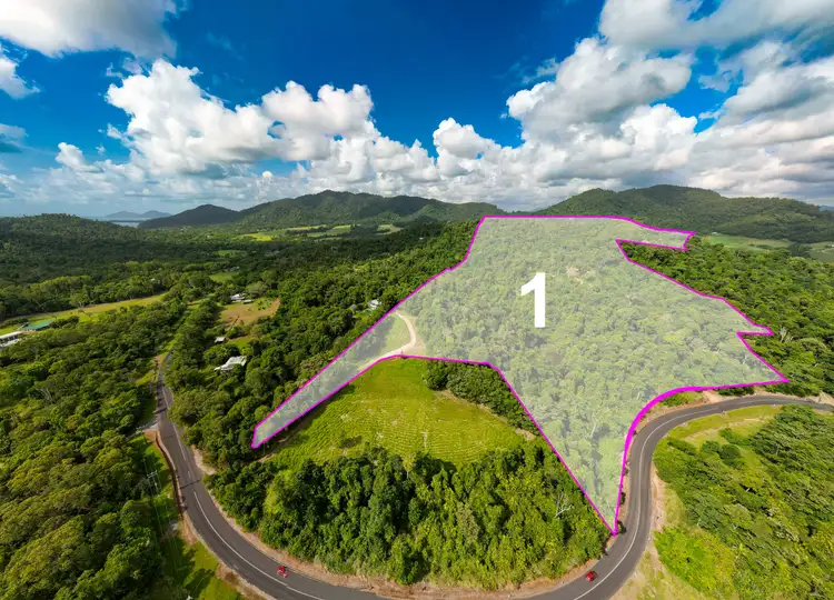 Fourth view of Homely land listing, 474 Bingil Bay Road, Bingil Bay QLD 4852