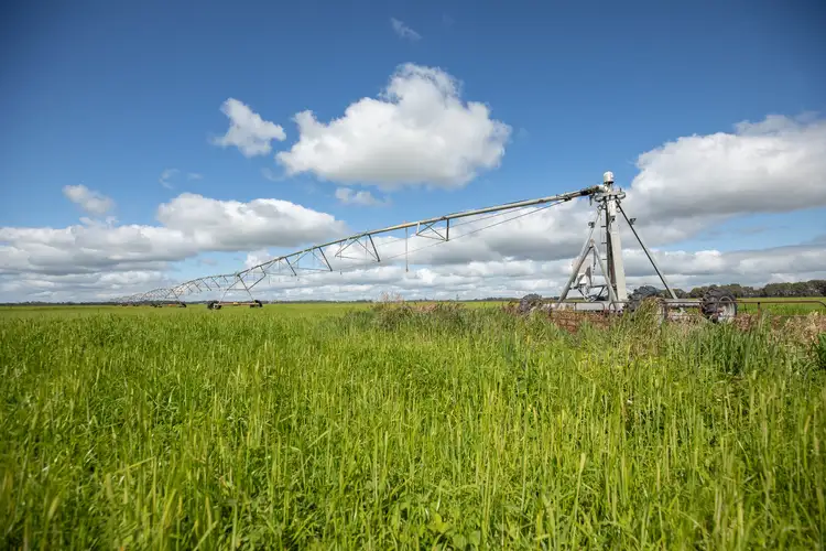 Seventh view of Homely rural property listing, 144 Agnew Rd, Wattle Range East SA 5279