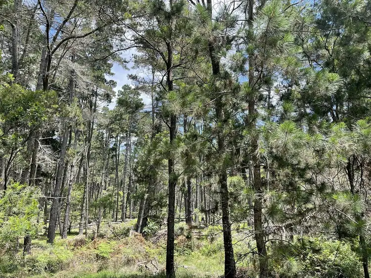 Third view of Homely land listing, Lot 631 Brown Gully Road, Sugarloaf QLD 4380