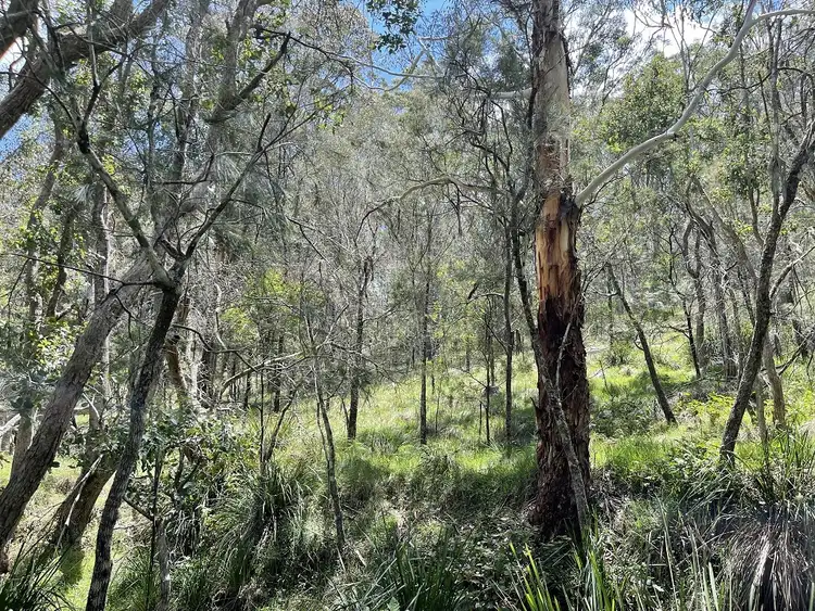 Seventh view of Homely land listing, Lot 631 Brown Gully Road, Sugarloaf QLD 4380