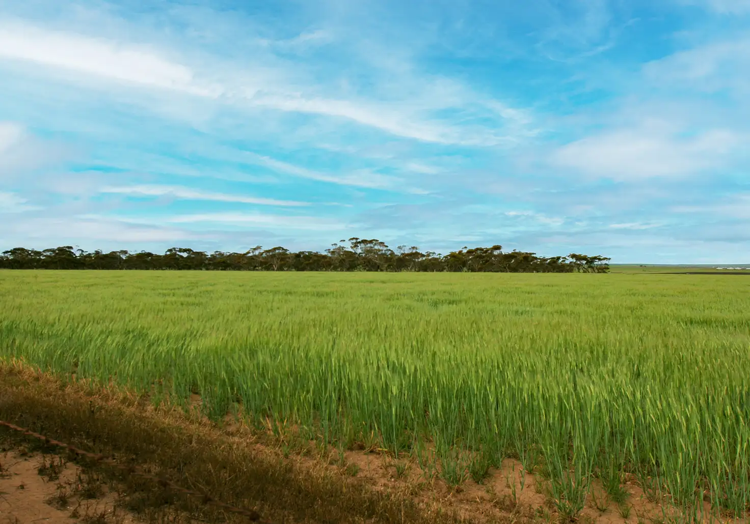 Main view of Homely rural property listing, Sections 159 & 160 Station Road, South Hummocks SA 5550