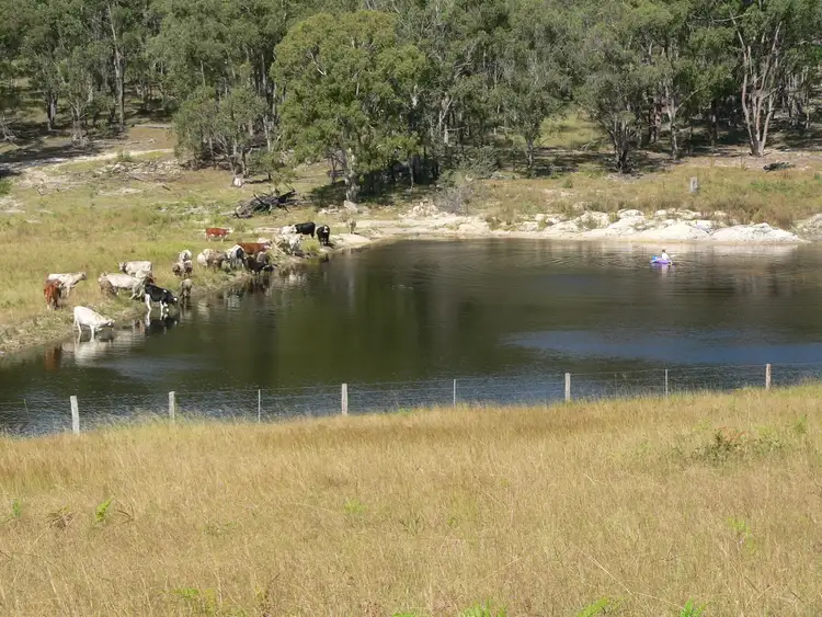 Fourth view of Homely rural property listing, 7137 Mount Lindesay Road, Cullendore NSW 2372