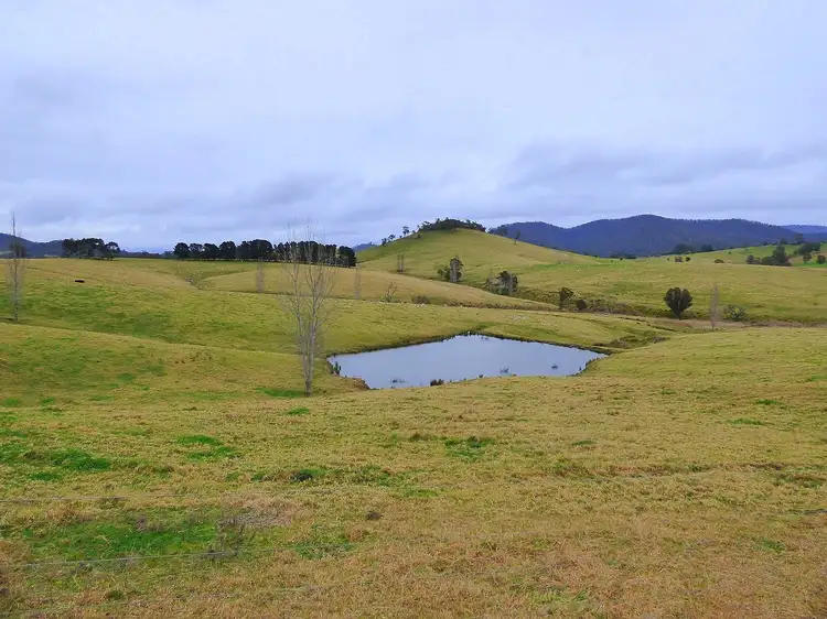 166 Green Hill Lane, Wyndham NSW 2550