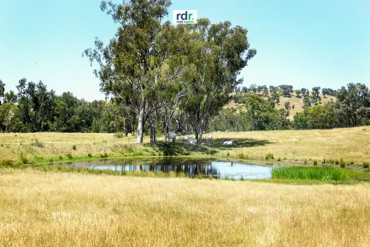 Second view of Homely rural property listing, 471 Thunderbolts Way, Inverell NSW 2360