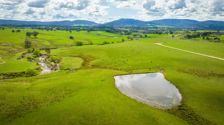 Sixth view of Homely rural property listing, 'Mongan's Paddock', Sandy Gully Road, Yackandandah VIC 3749