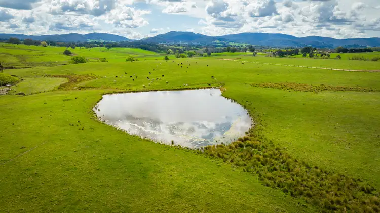 Seventh view of Homely rural property listing, 'Mongan's Paddock', Sandy Gully Road, Yackandandah VIC 3749