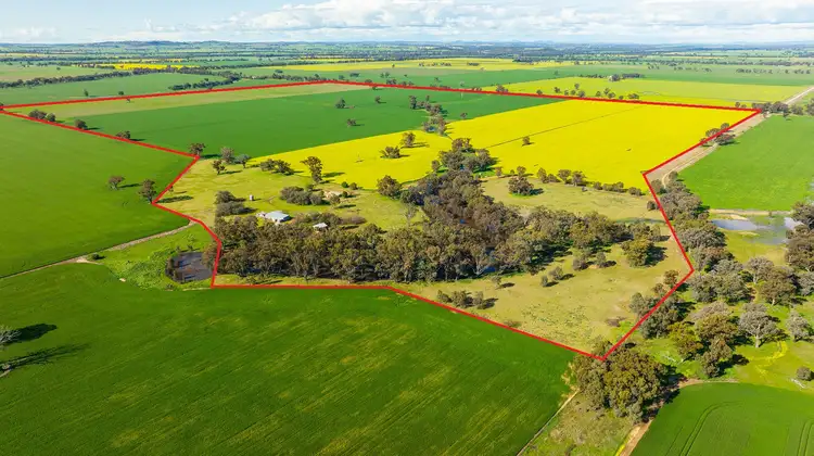 Main view of Homely rural property listing, 'Pleasant Valley'/626 Hudsons Rd, Walbundrie NSW 2642