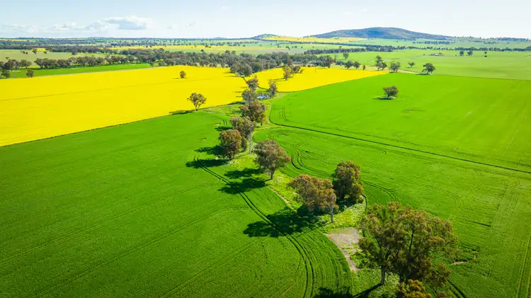 Second view of Homely rural property listing, 'Pleasant Valley'/626 Hudsons Rd, Walbundrie NSW 2642