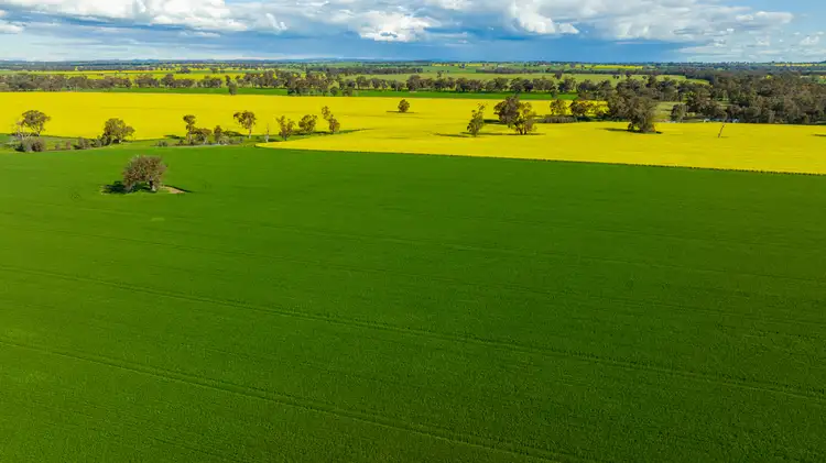 Fourth view of Homely rural property listing, 'Pleasant Valley'/626 Hudsons Rd, Walbundrie NSW 2642