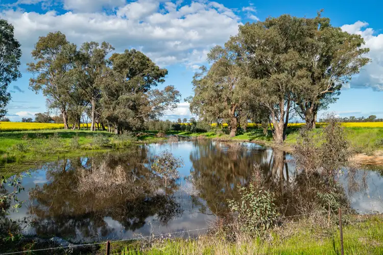 Fifth view of Homely rural property listing, 'Pleasant Valley'/626 Hudsons Rd, Walbundrie NSW 2642