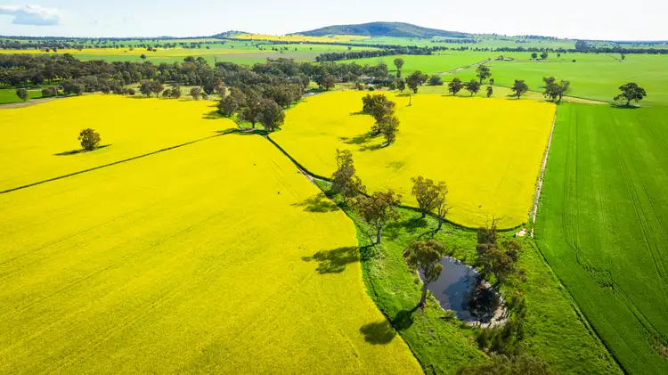 Sixth view of Homely rural property listing, 'Pleasant Valley'/626 Hudsons Rd, Walbundrie NSW 2642