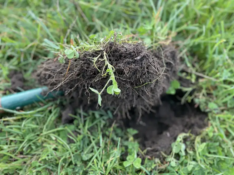 Third view of Homely rural property listing, 34 Widdicombe Rd, Bahgallah VIC 3312