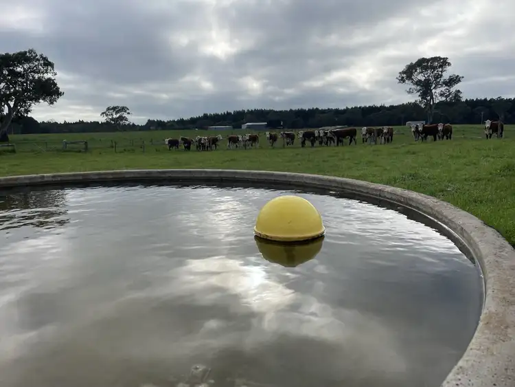 Fourth view of Homely rural property listing, 34 Widdicombe Rd, Bahgallah VIC 3312