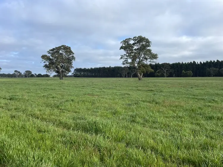 Fifth view of Homely rural property listing, 34 Widdicombe Rd, Bahgallah VIC 3312