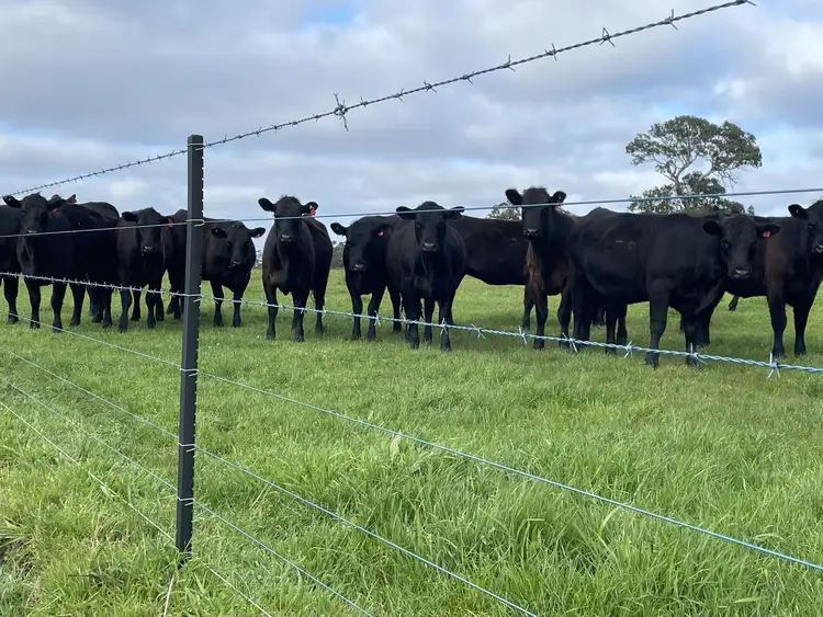 Seventh view of Homely rural property listing, 34 Widdicombe Rd, Bahgallah VIC 3312