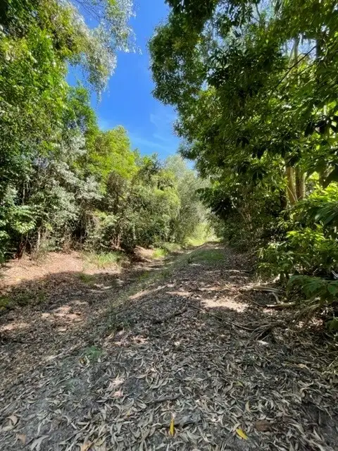 Seventh view of Homely land listing, 14 Clipper Ct, South Mission Beach QLD 4852