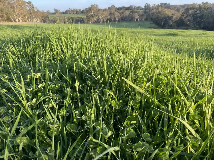 Lot/1 Fitzgeralds Lane, Brimboal VIC 3312