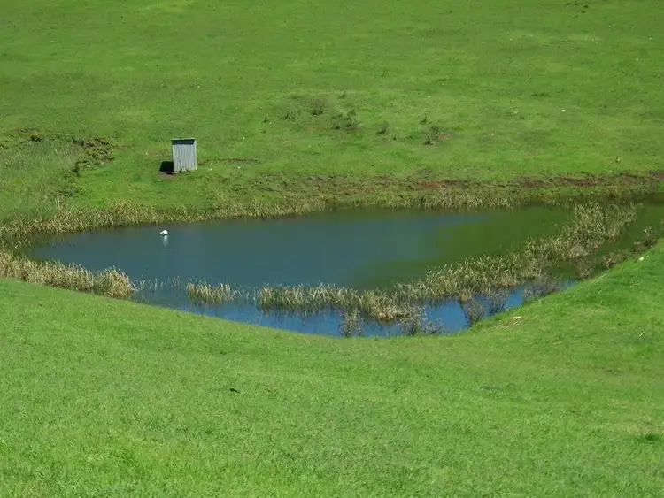 Seventh view of Homely rural property listing, 1754 Boggy Creek Road, Millingandi NSW 2549