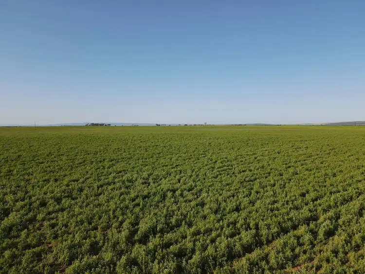 Second view of Homely rural property listing, 753 Sandy Lane, Wandearah East SA 5523