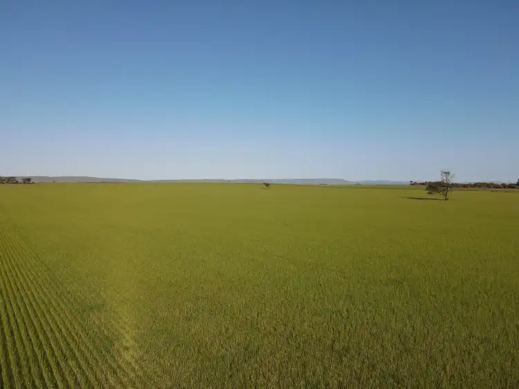 Third view of Homely rural property listing, 753 Sandy Lane, Wandearah East SA 5523
