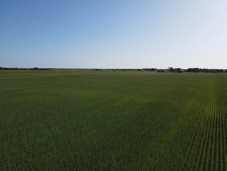 Fourth view of Homely rural property listing, 753 Sandy Lane, Wandearah East SA 5523