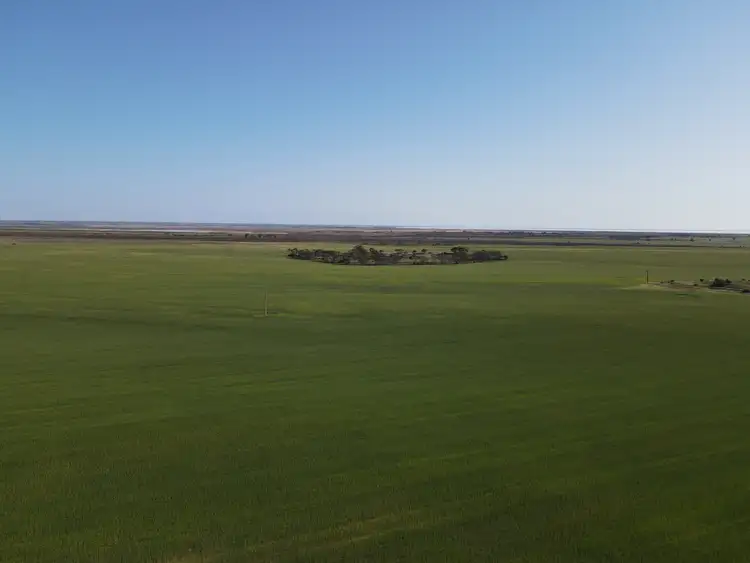 Fifth view of Homely rural property listing, 753 Sandy Lane, Wandearah East SA 5523