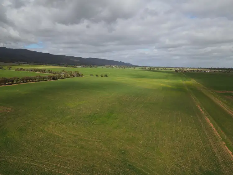 Main view of Homely rural property listing, 1043 Telowie Rd, Telowie SA 5540