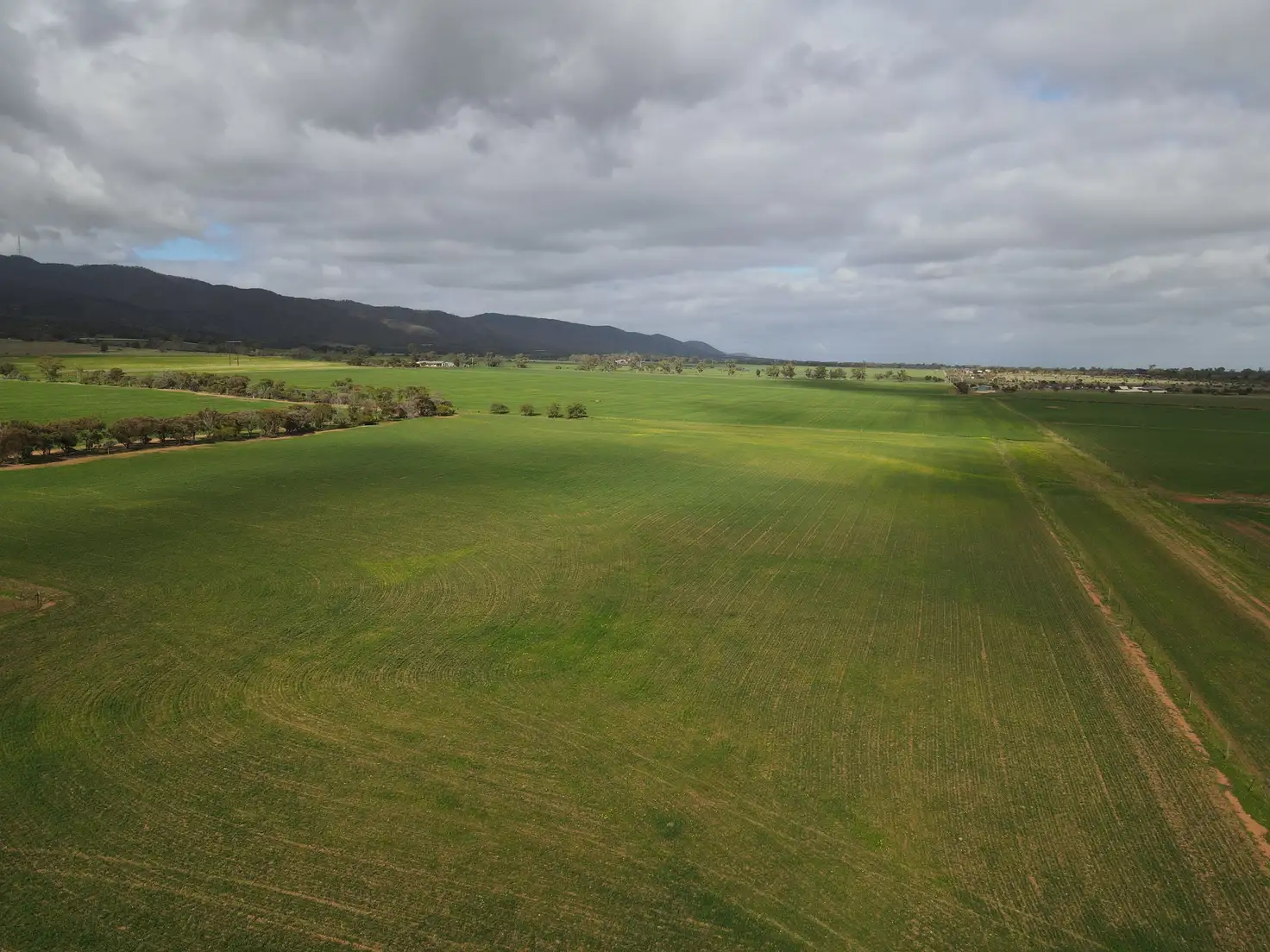 Main view of Homely rural property listing, 1043 Telowie Rd, Telowie SA 5540