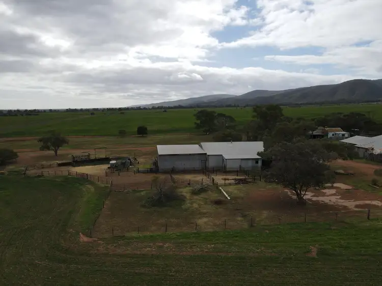 Fourth view of Homely rural property listing, 1043 Telowie Rd, Telowie SA 5540