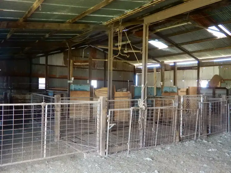 Seventh view of Homely rural property listing, 1043 Telowie Rd, Telowie SA 5540
