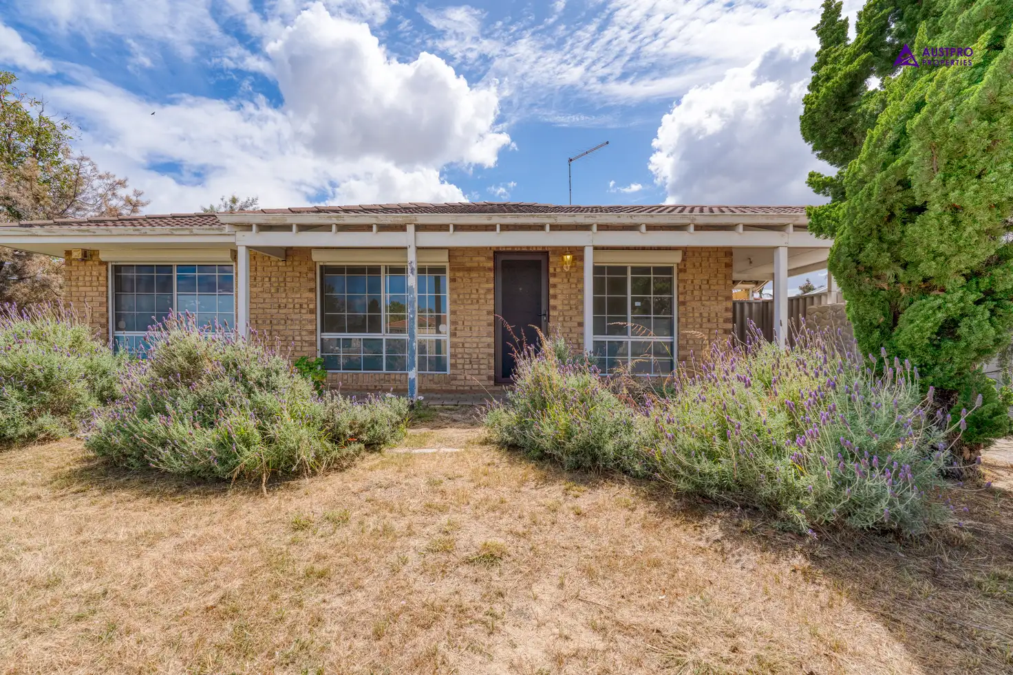 Main view of Homely house listing, 1 Pinetree Close, Alexander Heights WA 6064