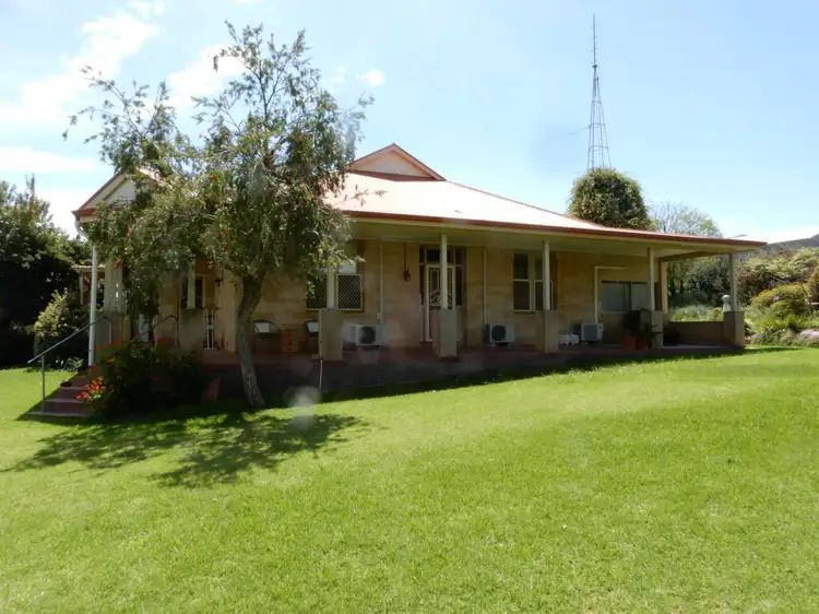 Main view of Homely rural property listing, 225 Mallee Grove Rd, Koolunga SA 5464