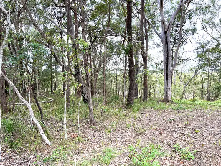 Fifth view of Homely land listing, 18 Deenya Pde, Russell Island QLD 4184