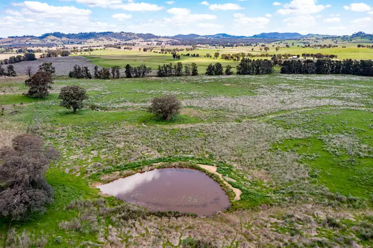 Seventh view of Homely rural property listing, 79 Alexander Rd, Erudgere NSW 2850