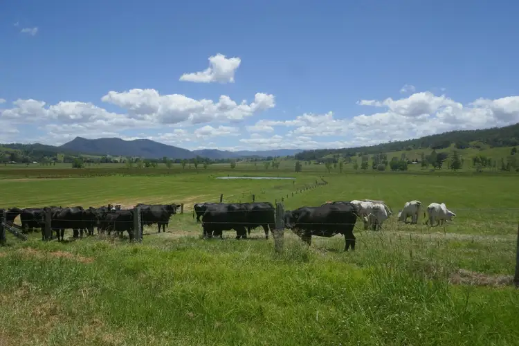 Fourth view of Homely rural property listing, Address available on request