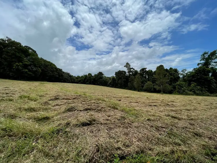 Fifth view of Homely land listing, Lot 9 Bingil Bay Rd Bingil Bay, Bingil Bay QLD 4852