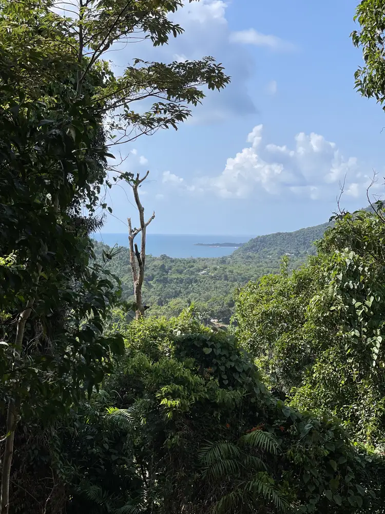 Third view of Homely land listing, Lot 6 Bingil Bay Road, Bingil Bay QLD 4852