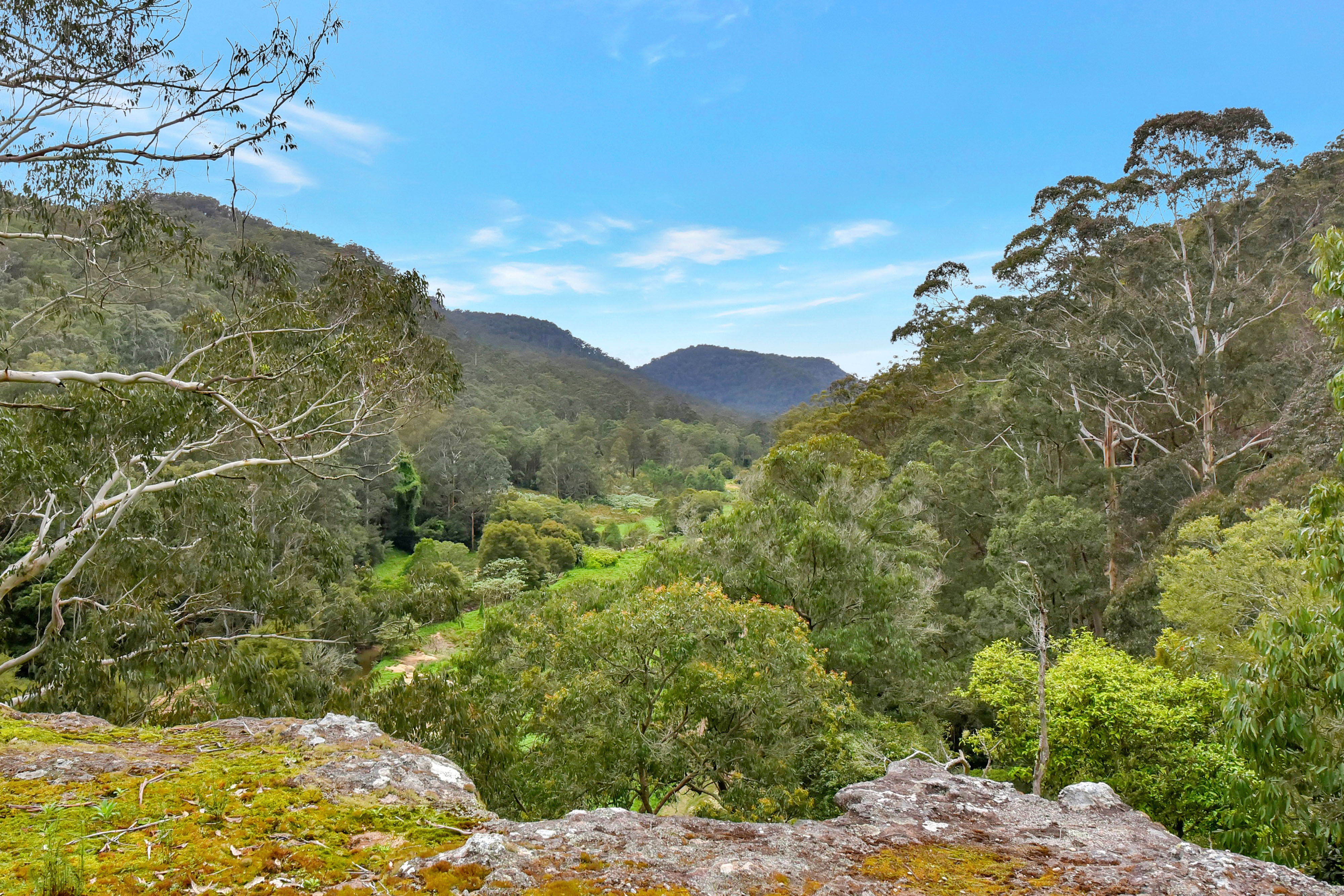Main view of Homely rural property listing, 35 Dogwood Road, Laguna NSW 2325