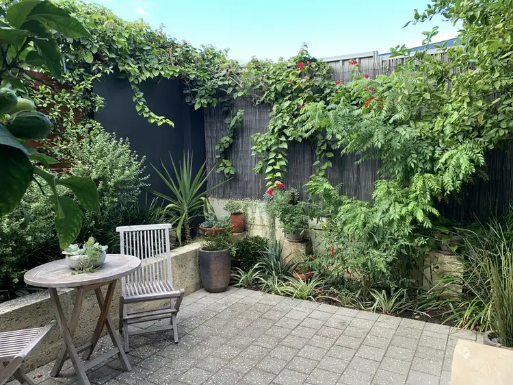 Third view of Homely house listing, 19 Bingham Lane, Scarborough WA 6019