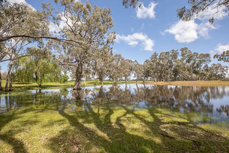 Fifth view of Homely rural property listing, 1911 Casterton-Edenhope Rd, Wando Bridge VIC 3312