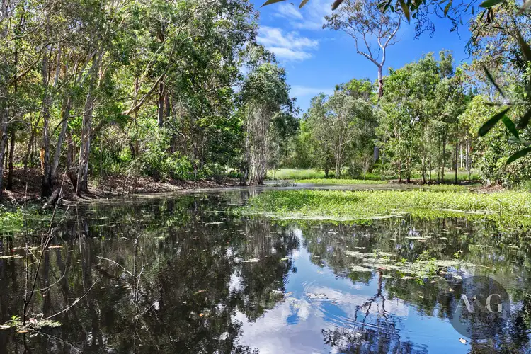 Fourth view of Homely rural property listing, 175 Langer Rd, Bidwill QLD 4650