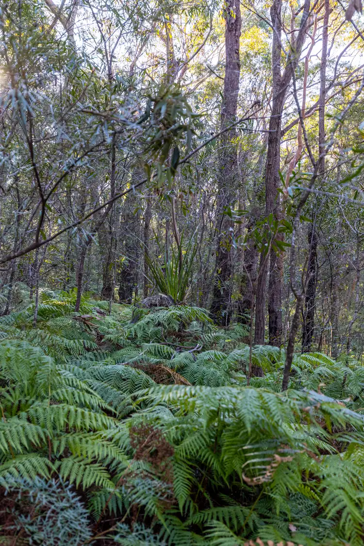 Fifth view of Homely land listing, 141 Kent Street, Bullaburra NSW 2784
