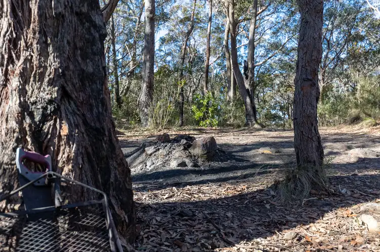 Sixth view of Homely land listing, 141 Kent Street, Bullaburra NSW 2784