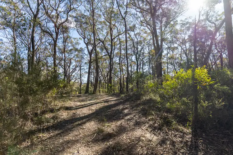 Seventh view of Homely land listing, 141 Kent Street, Bullaburra NSW 2784