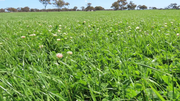 Second view of Homely rural property listing, Lot 141 Three Chain Road, Greenways SA 5272