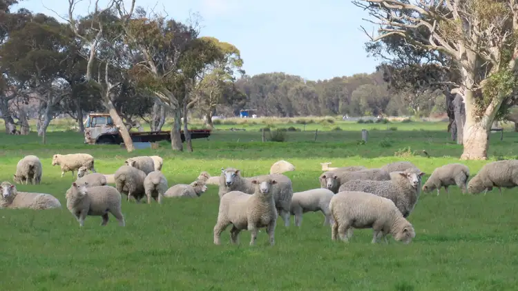 Third view of Homely rural property listing, Lot 141 Three Chain Road, Greenways SA 5272