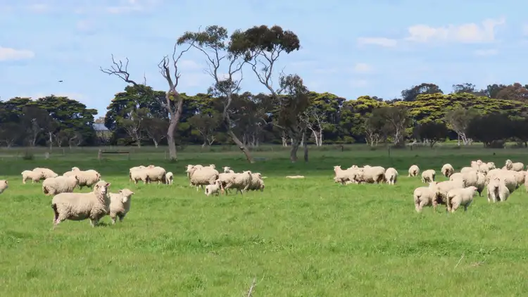 Fourth view of Homely rural property listing, Lot 141 Three Chain Road, Greenways SA 5272